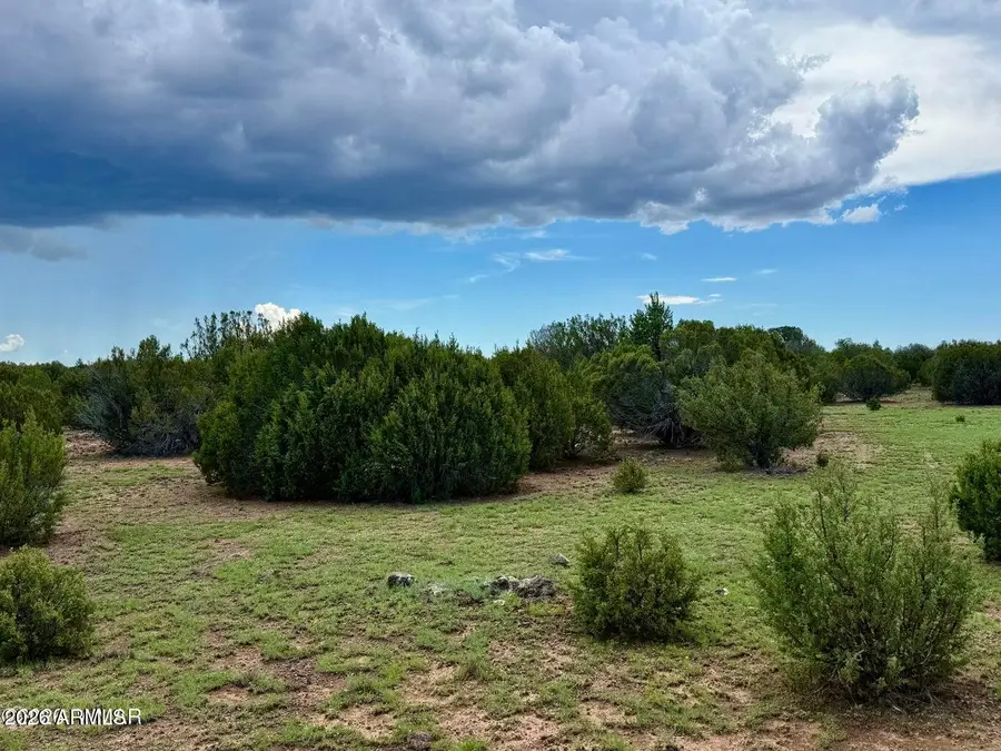 83 Co Rd 8128 --, Concho, AZ 85924 - #3