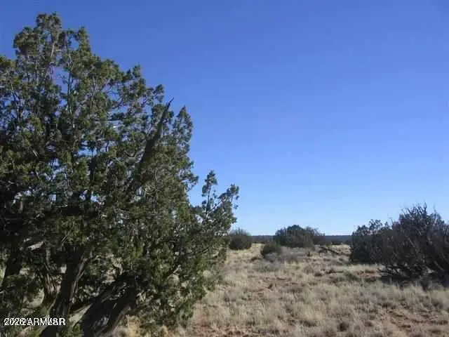 Lot 537 Chevelon Canyon Ranch Lot 537 -- #537, Heber, AZ 85928 - #1
