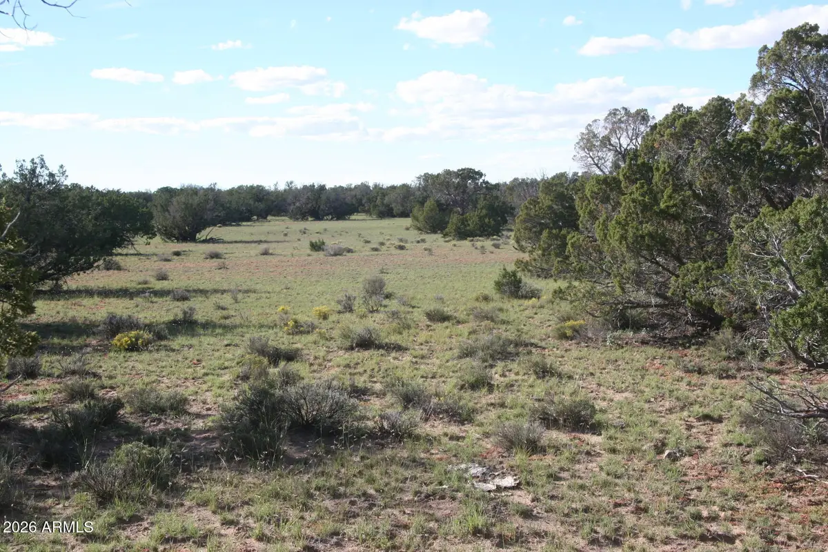 TBD 7230-002 --, Saint Johns, AZ 85936 - #1