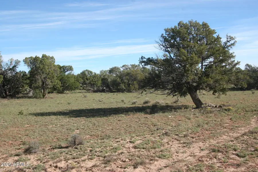 TBD 7230-002 --, Saint Johns, AZ 85936 - #2