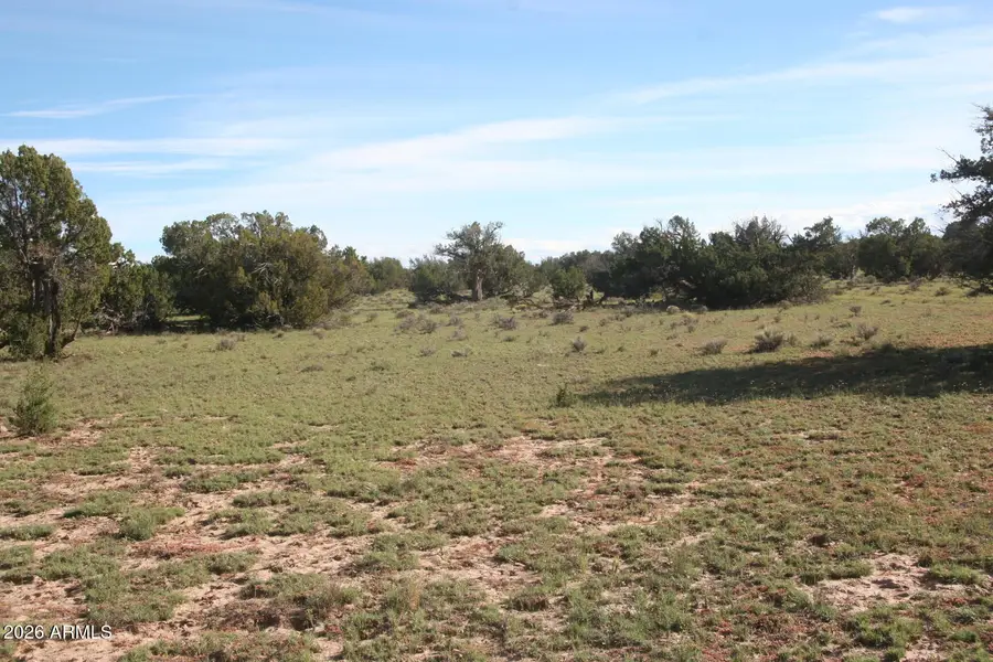 TBD 7230-002 --, Saint Johns, AZ 85936 - #3