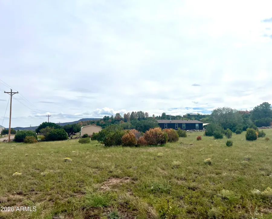 814 W Safari Drive, Eagar, AZ 85925 - #3