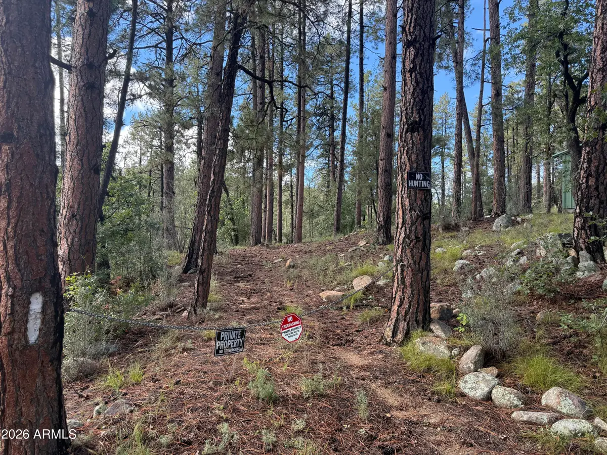 00 E Evening Shadow Road, Crown King, AZ 86343 - #1