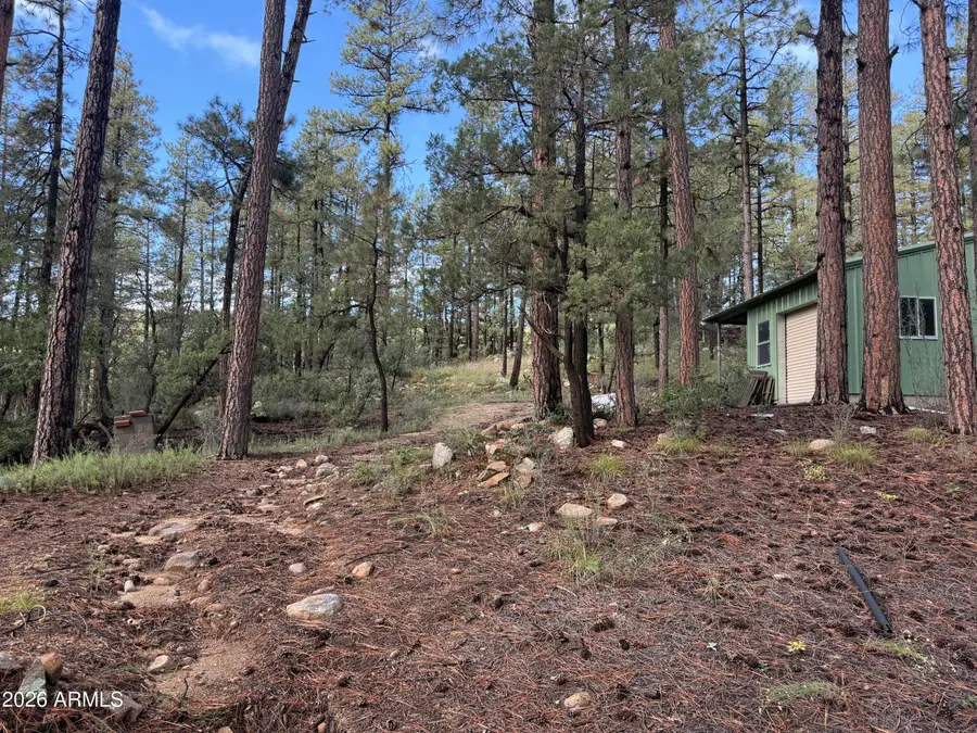 00 E Evening Shadow Road, Crown King, AZ 86343 - #3