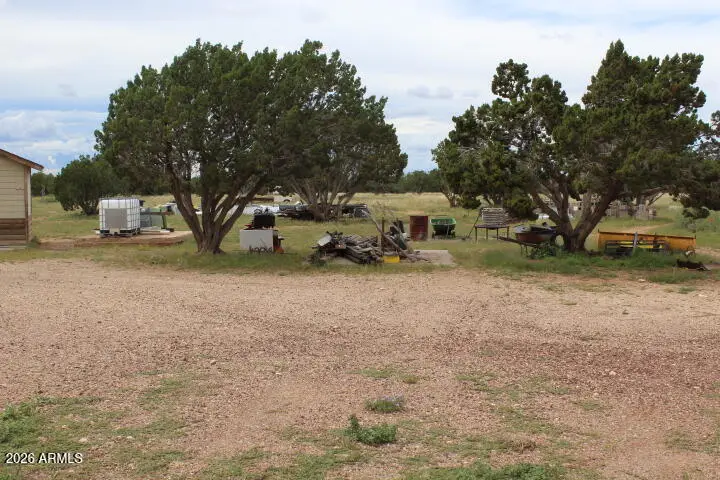 995 Rock On Dam Tank Road #'-', Heber, AZ 85928 - #1