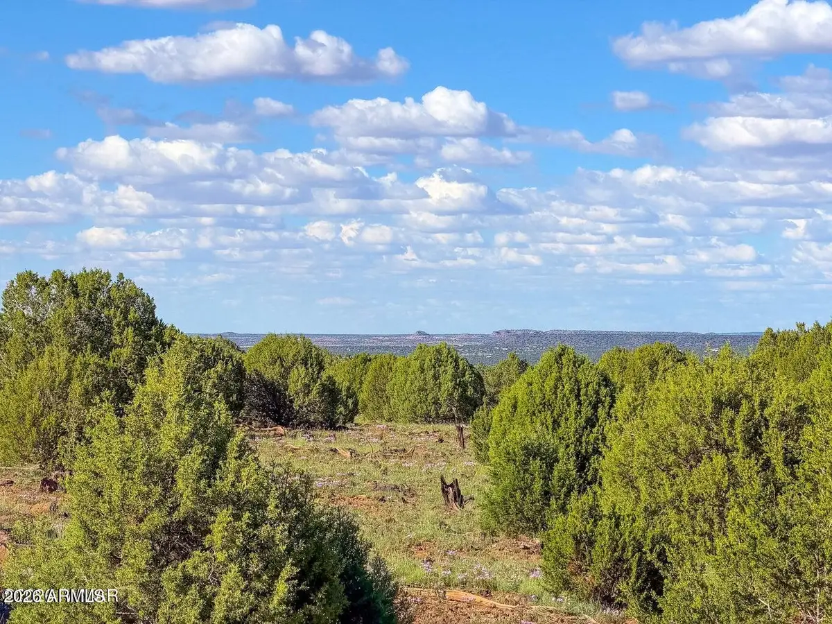 8025 Colt Ln Lot 5 8 Acres --, Show Low, AZ 85901 - #1