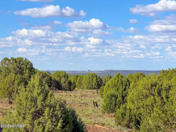 8025 Colt Ln Lot 5 8 Acres --, Show Low, AZ 85901
