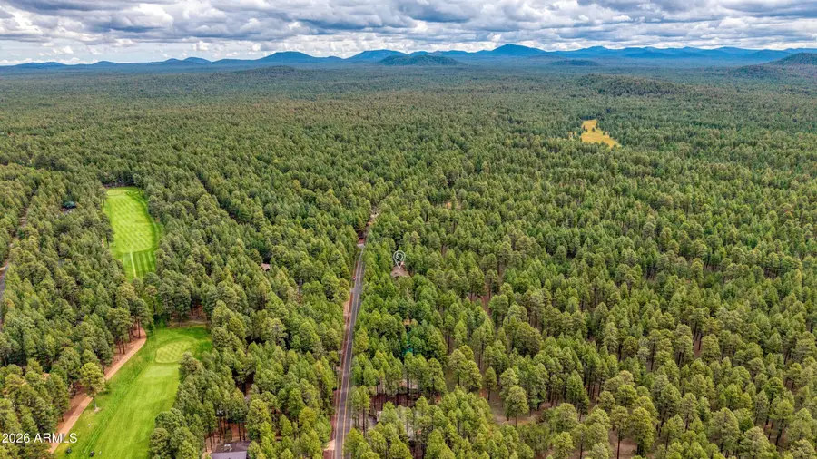 7951 Country Club Drive, Pinetop, AZ 85935 - #3