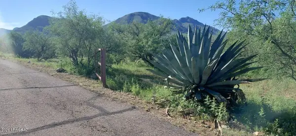 1889 Roma Court #231, Rio Rico, AZ 85648