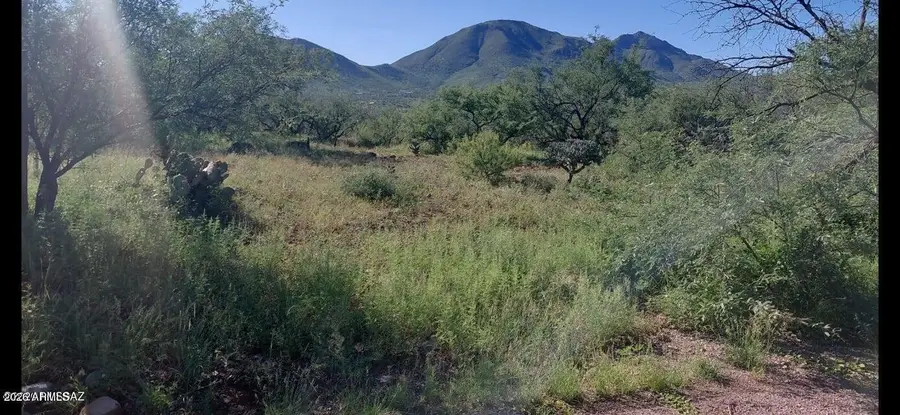 1889 Roma Court #231, Rio Rico, AZ 85648 - #3