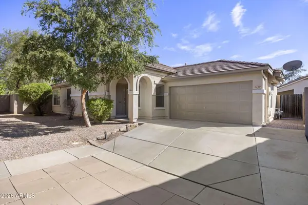 1419 N Thunderbird Avenue, Gilbert, AZ 85234