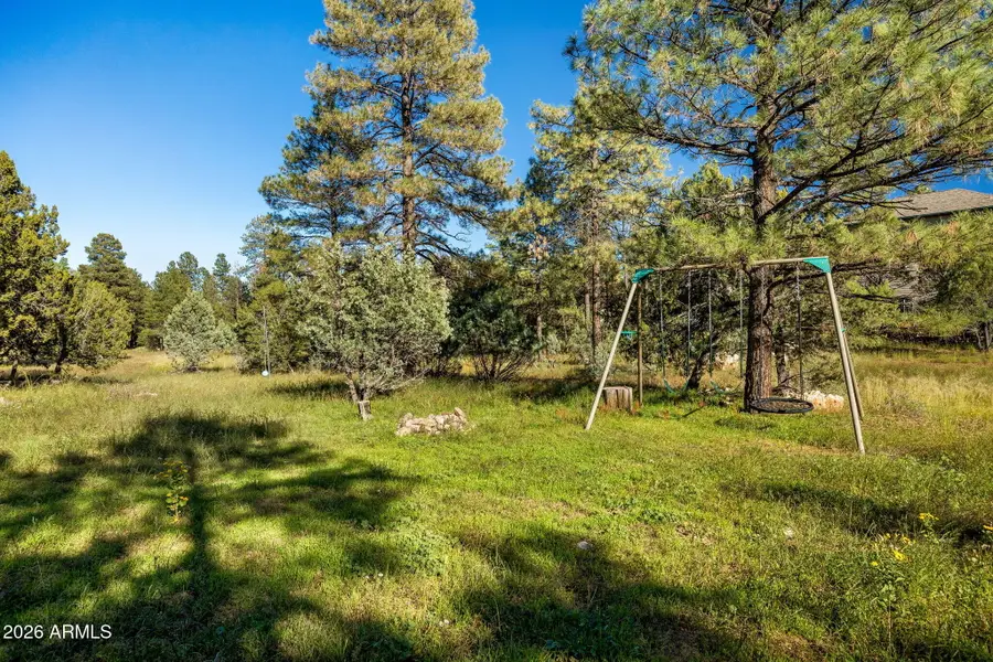 2861 Lodgepole Road, Overgaard, AZ 85933 - #3