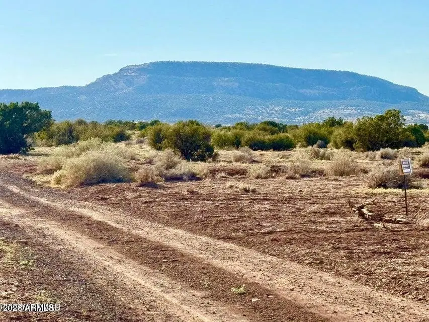 85 Co Rd 8500 40 Acres --, Concho, AZ 85924 - #1