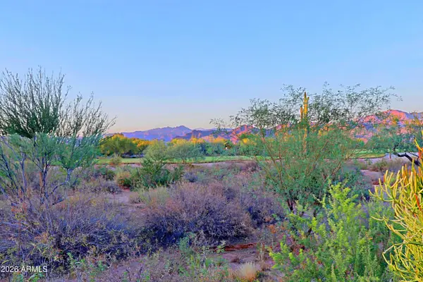 18022 E Vista Desierto --, Rio Verde, AZ 85263