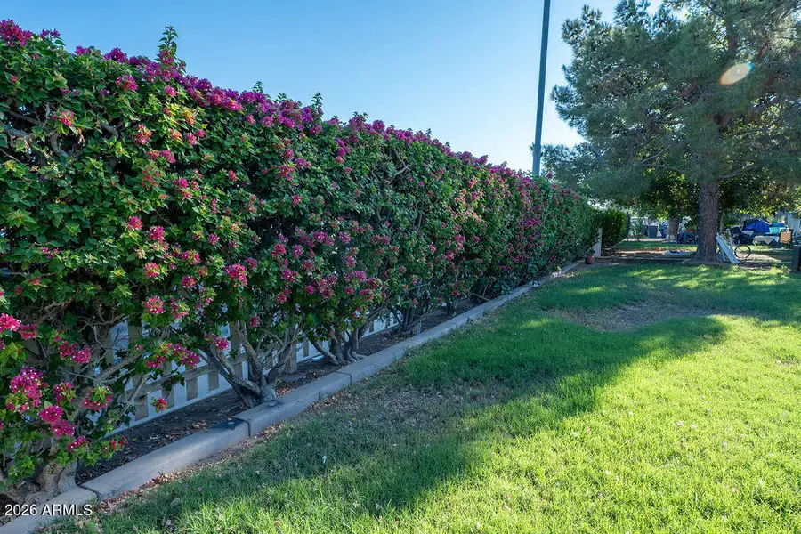 181 W Kesler Lane, Chandler, AZ 85225 - #2