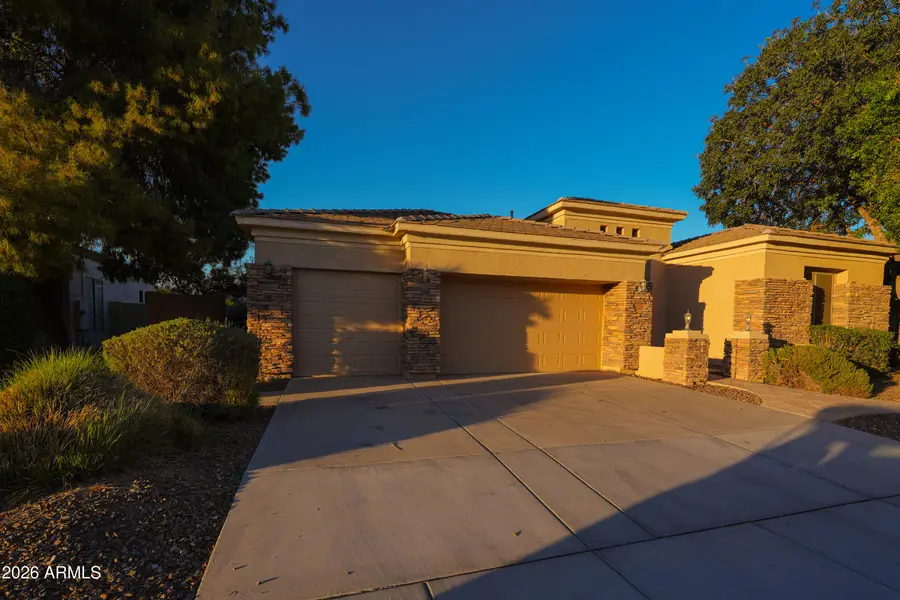 462 W Carob Drive, Chandler, AZ 85248 - #2