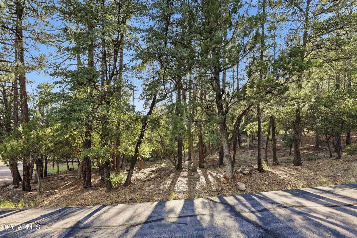 98 N Trails End Drive #98, Pine, AZ 85544 - #1