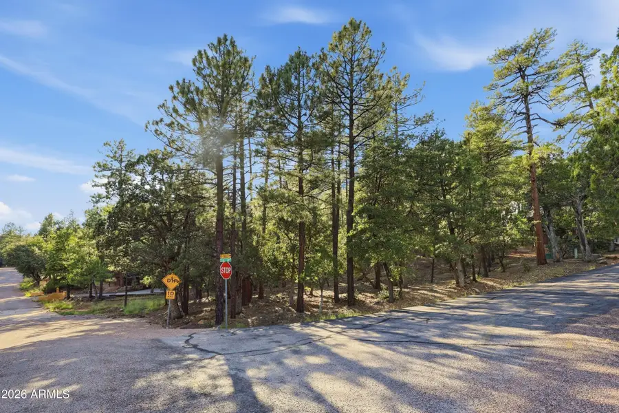 98 N Trails End Drive #98, Pine, AZ 85544 - #2