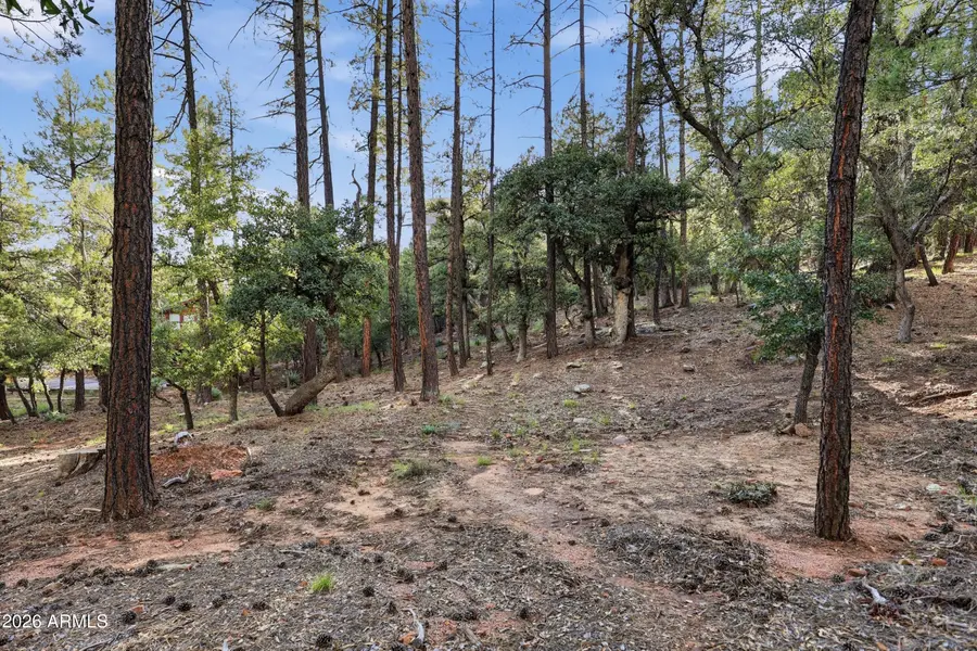 98 N Trails End Drive #98, Pine, AZ 85544 - #3
