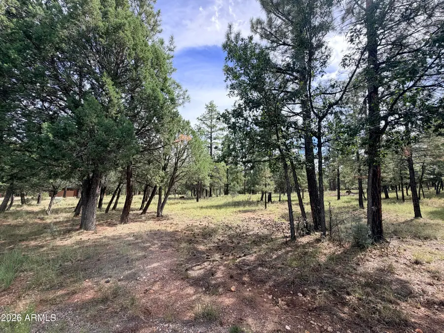 5206 Starlight Drive #166, Happy Jack, AZ 86024 - #2