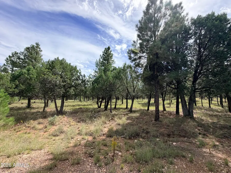 5206 Starlight Drive #166, Happy Jack, AZ 86024 - #3