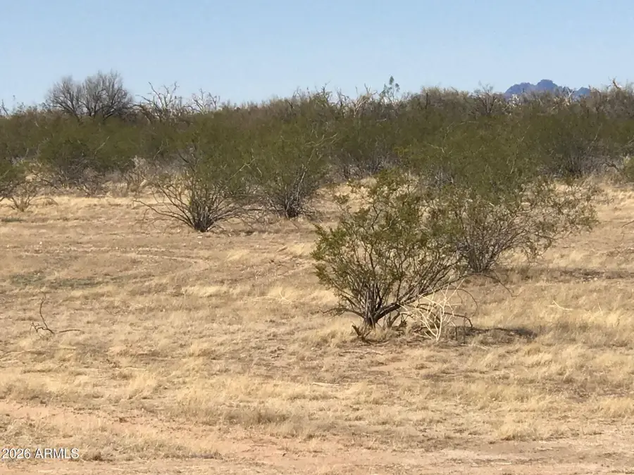 22XXX N 219th Avenue, Surprise, AZ 85374 - #3