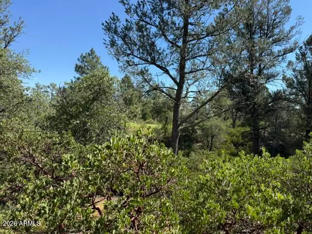 309 S Friendly Glen #33, Payson, AZ 85541 - #2