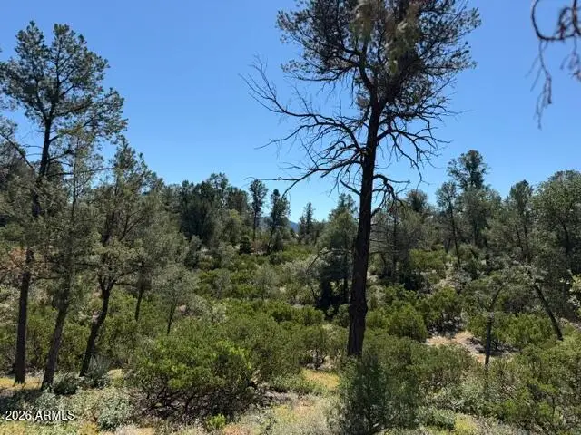 309 S Friendly Glen #33, Payson, AZ 85541 - #3