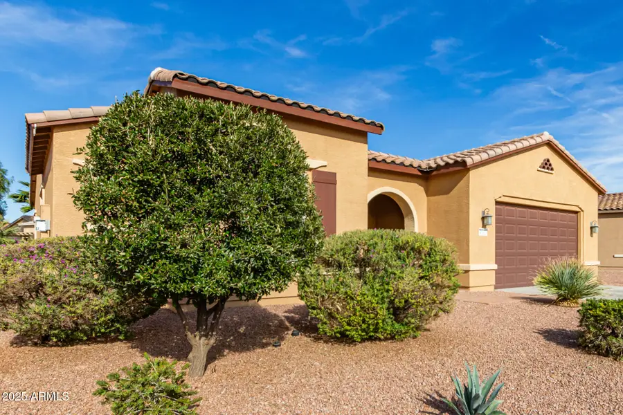 41626 W Harvest Moon Drive, Maricopa, AZ 85138 - #3