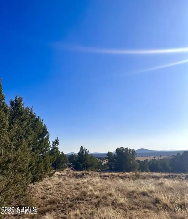 14 8249 -- #38, Concho, AZ 85924