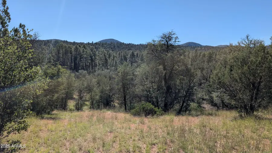 46373 N State Road 288 Highway #2, Young, AZ 85554 - #2