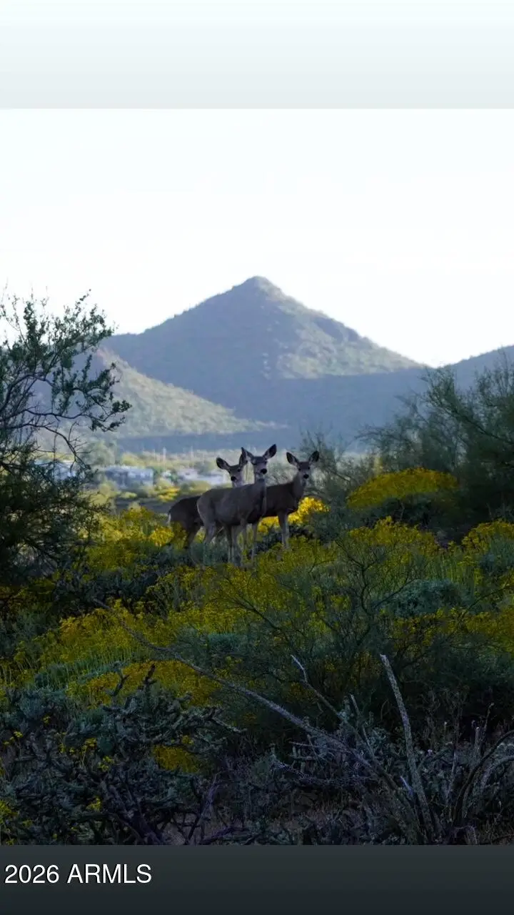 0 E Angel Basin Road #3, Queen Valley, AZ 85118 - #3
