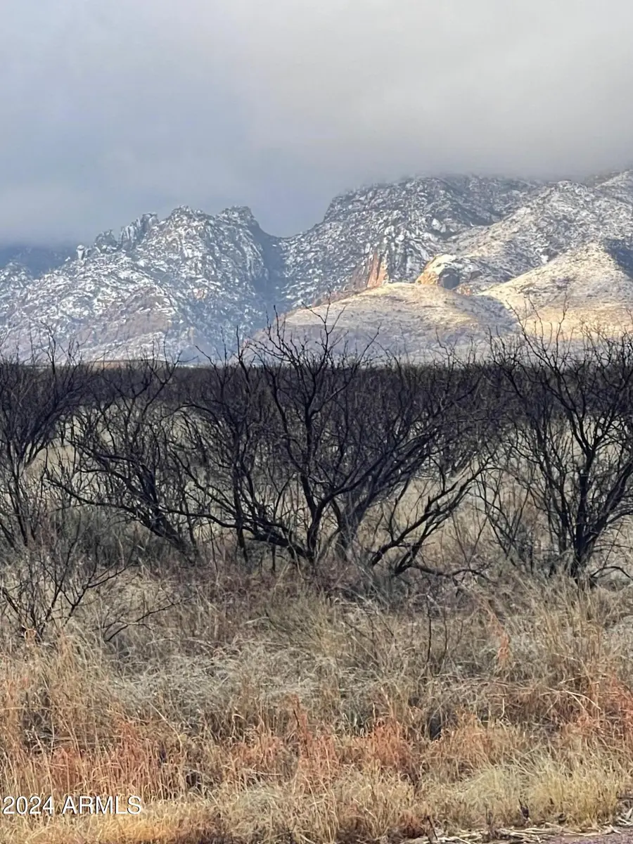 TBD129-L2 W Doe Ranch Rd Road #58, Pearce, AZ 85625 - #3