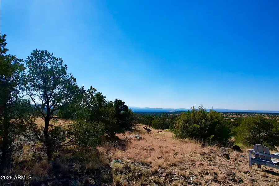 12047 Mesa Vw Rd 40 Acres --, Williams, AZ 86046 - #2