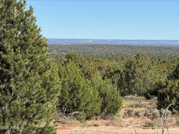 n729 N N7320 -- #32, St Johns, AZ 85936