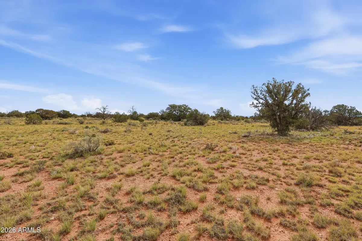 2977 Red Butte Road #13A, Williams, AZ 86046 - #1