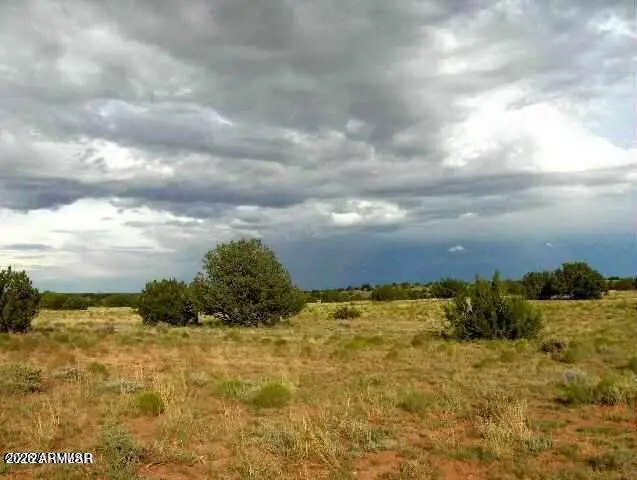 550 Sterling- Lot 825 Avenue #825, Heber, AZ 85928 - #2