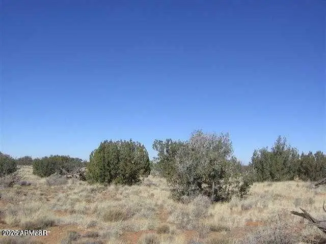 550 Sterling- Lot 825 Avenue #825, Heber, AZ 85928 - #3