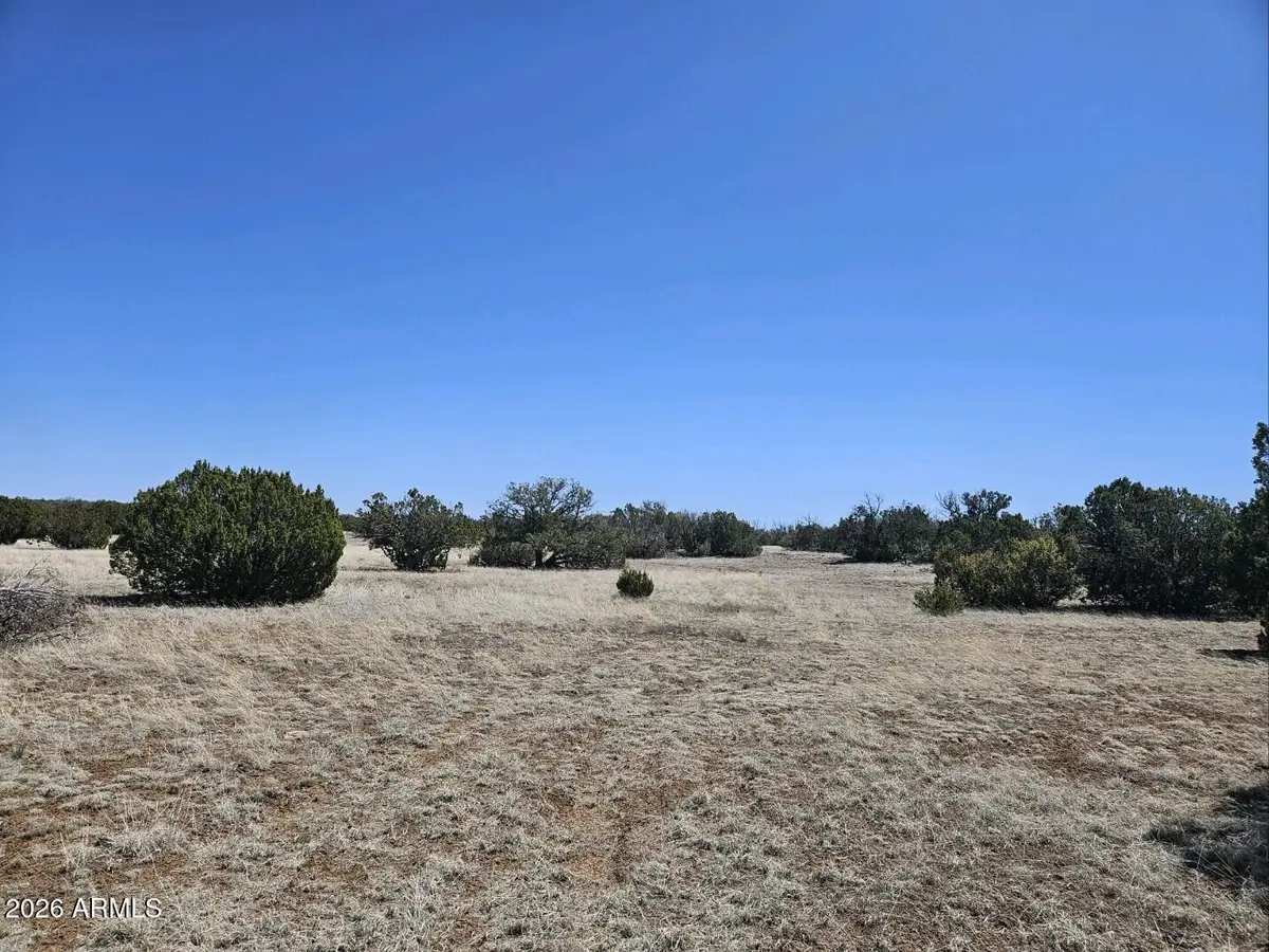 56 Acr 5073 --, Concho, AZ 85924 - #1