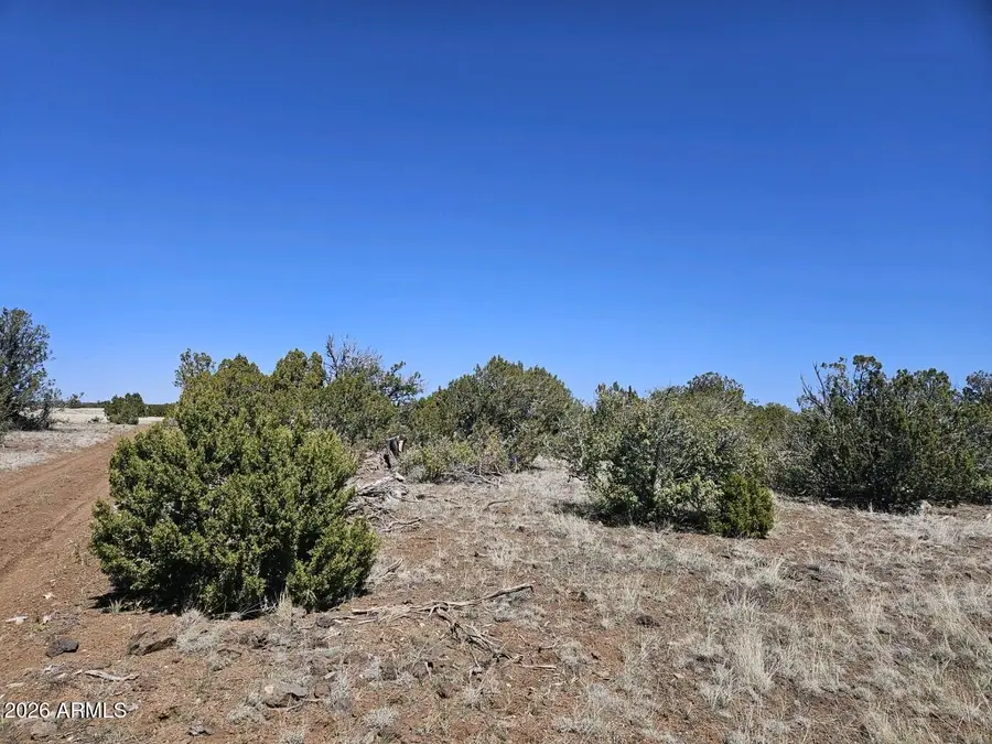 56 Acr 5073 --, Concho, AZ 85924 - #3