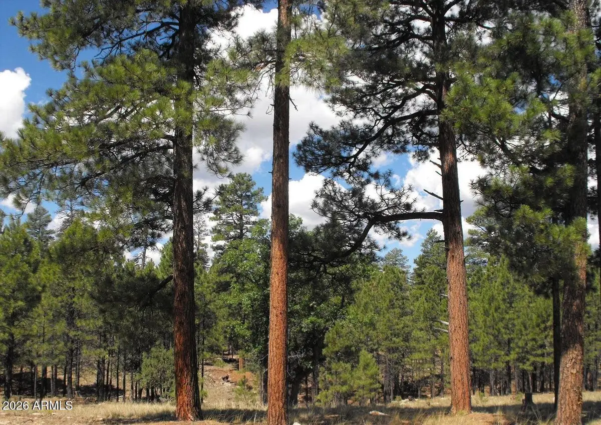 4622 Juniper Drive #116, Happy Jack, AZ 86024 - #1
