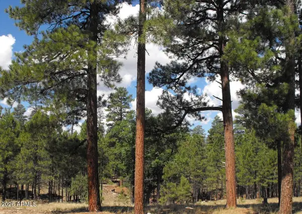 4622 Juniper Drive #116, Happy Jack, AZ 86024