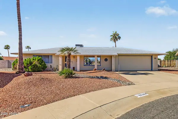 9536 W Briarwood Circle N, Sun City, AZ 85351