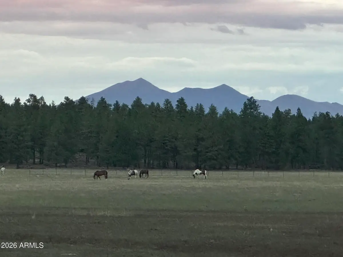 XXXX E Fsr 700 And Fsr 78 -- #2, Flagstaff, AZ 86005 - #1