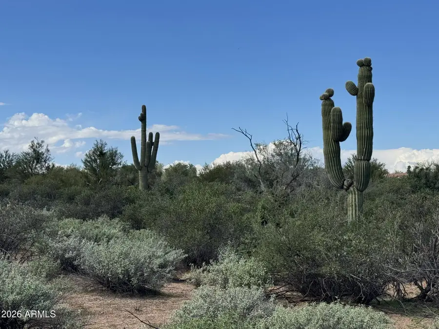 27030 N 162nd Street, Scottsdale, AZ 85262 - #2