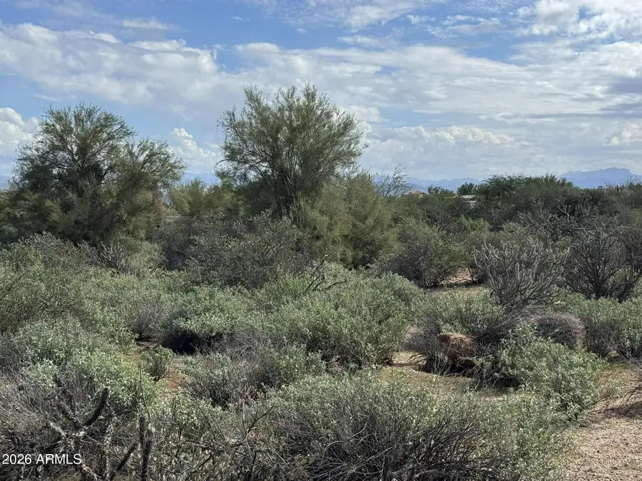 27030 N 162nd Street, Scottsdale, AZ 85262 - #3