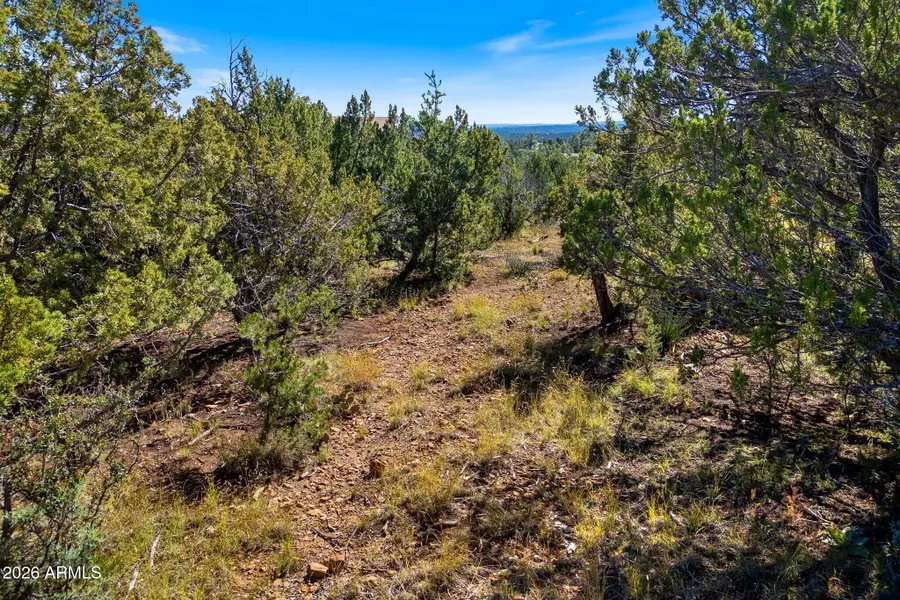 3469 Highland Drive #132, Heber, AZ 85928 - #2