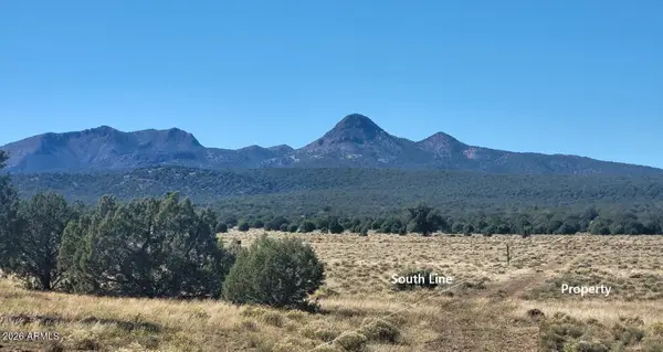 232 Six Shooter Trail #232, Williams, AZ 86046