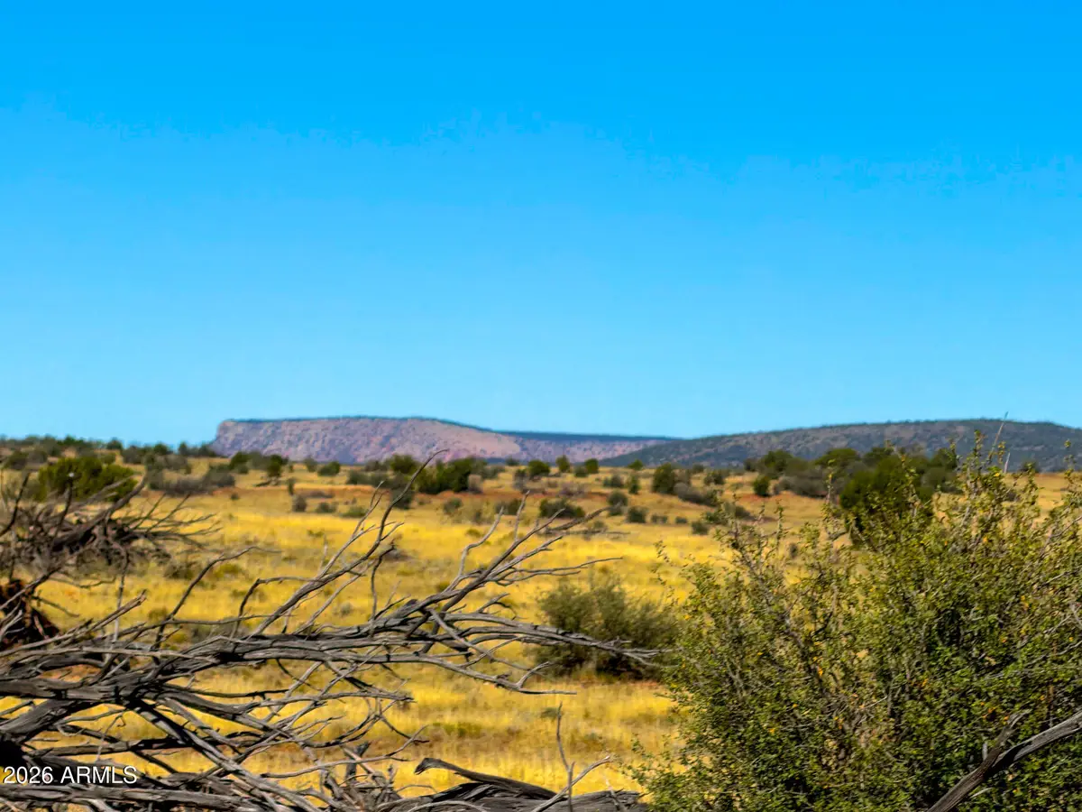 0 W Jandscountry Ln 40 Acres --, Seligman, AZ 86337 - #1