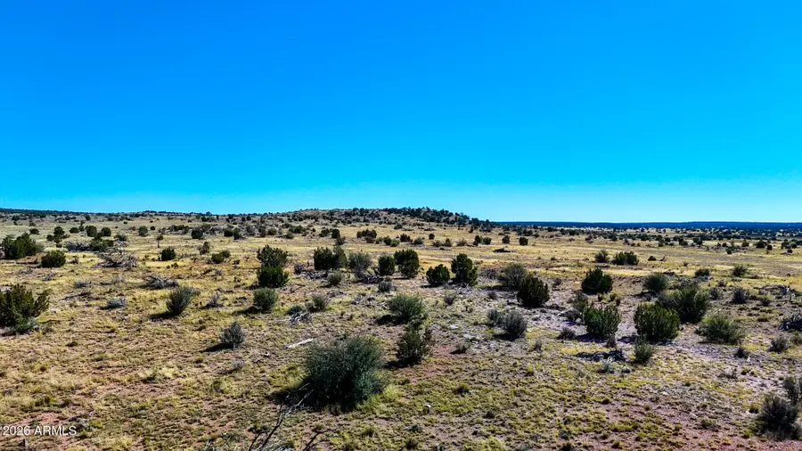 0 W Jandscountry Ln 40 Acres --, Seligman, AZ 86337 - #2